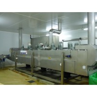 CRYOSPEED