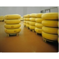 Sika EpoxyFloor WP 4S