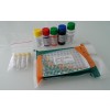 Kit ELISA pour la détection du blé tendre dans le blé dur